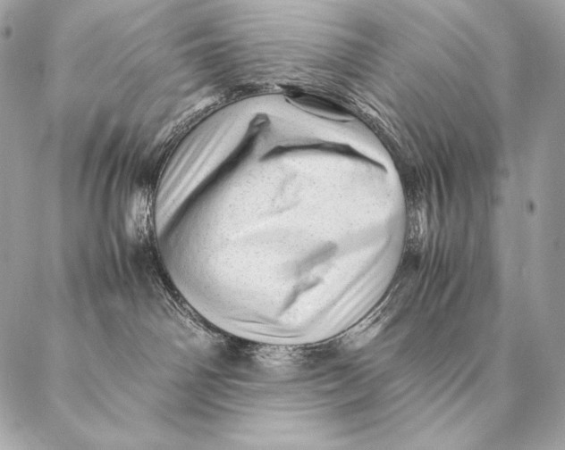 X0000087390142200705111810