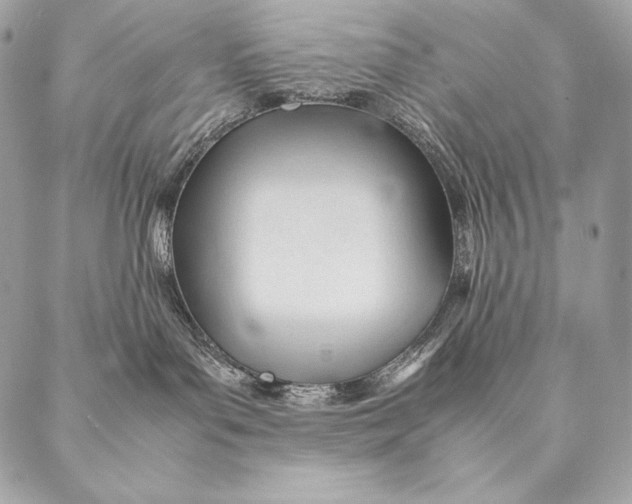 X0000087390143200705111810