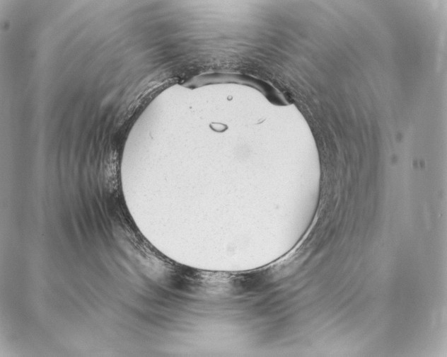 X0000087390144200705111810