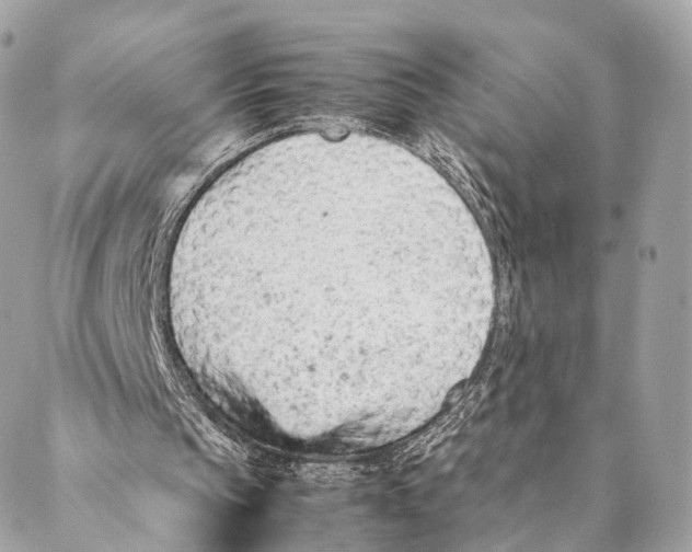 X0000087390145200705111809