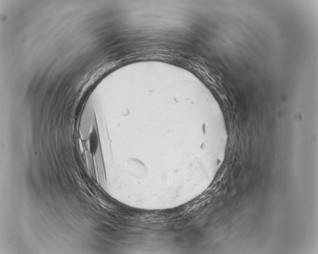 X0000087390146200705111809