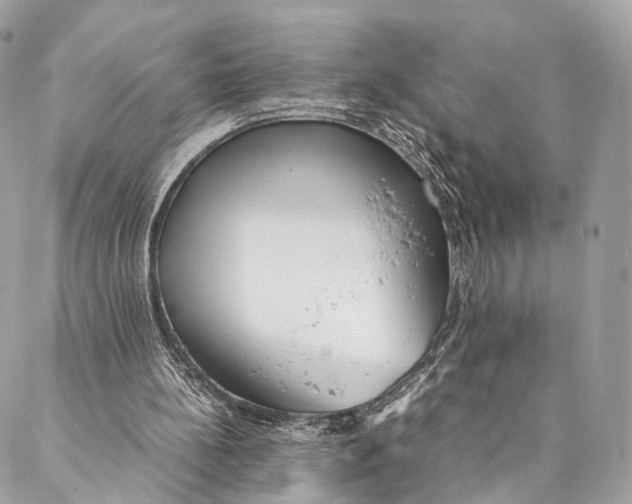 X0000087390148200705111809