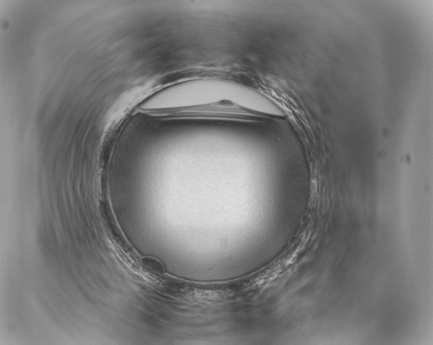 X0000087390149200705111809