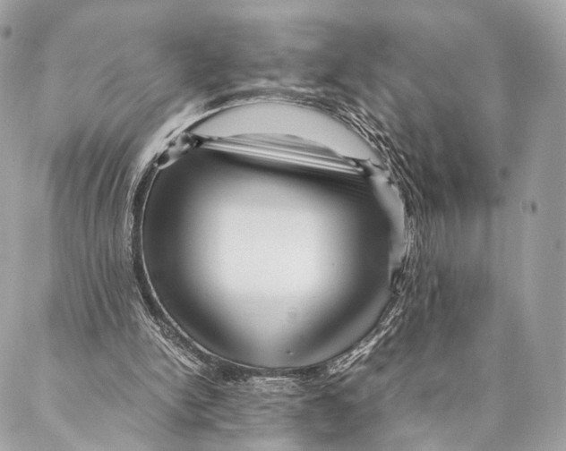 X0000087390150200705111809