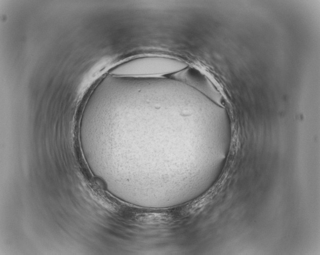 X0000087390151200705111809