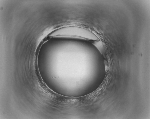 X0000087390152200705111809