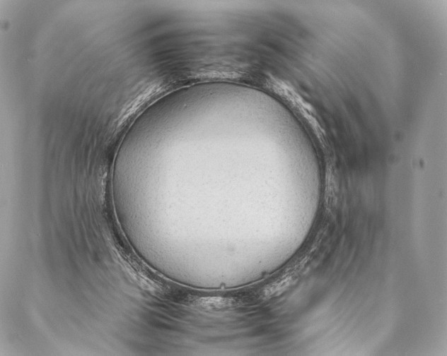 X0000087390153200705111809