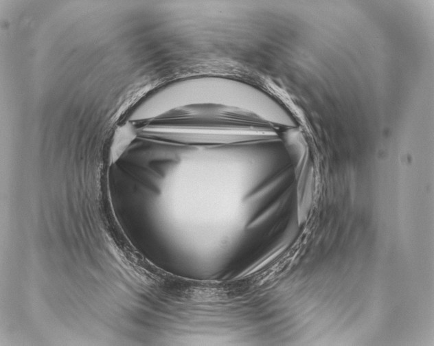 X0000087390154200705111809