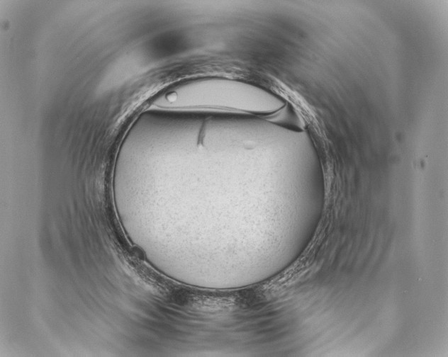 X0000087390155200705111809