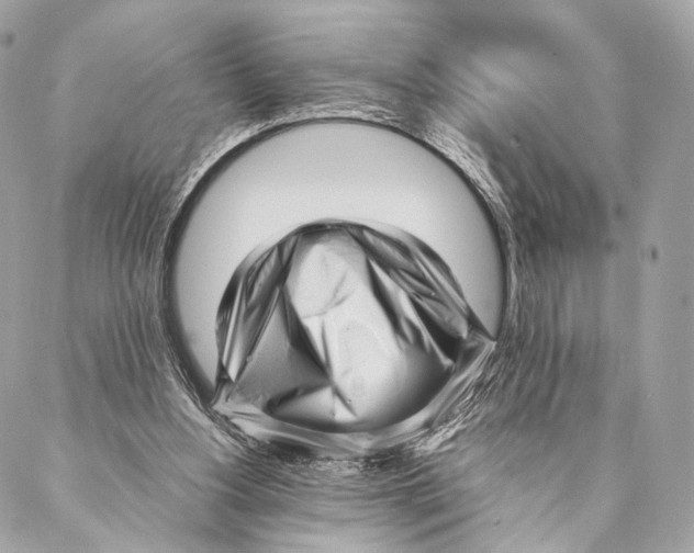 X0000087390156200705111809