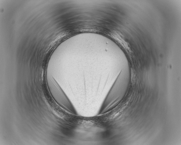 X0000087390157200705111809