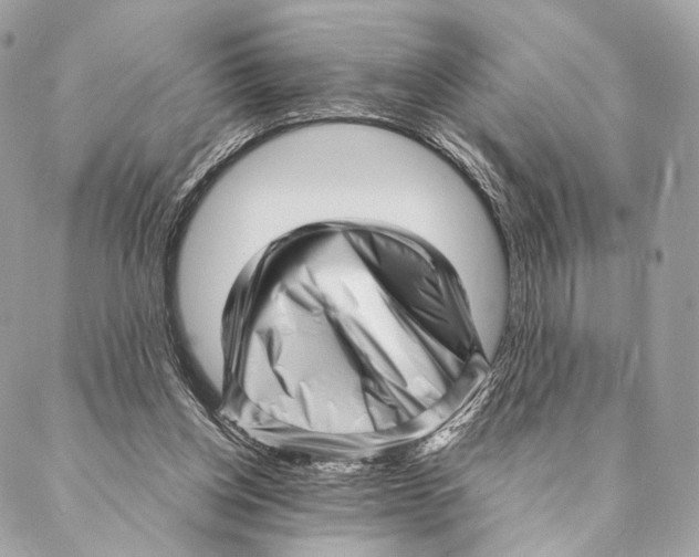 X0000087390158200705111809