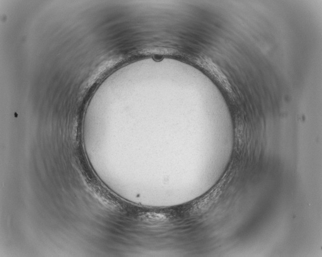 X0000087390159200705111809