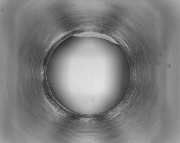 X0000087390160200705111809