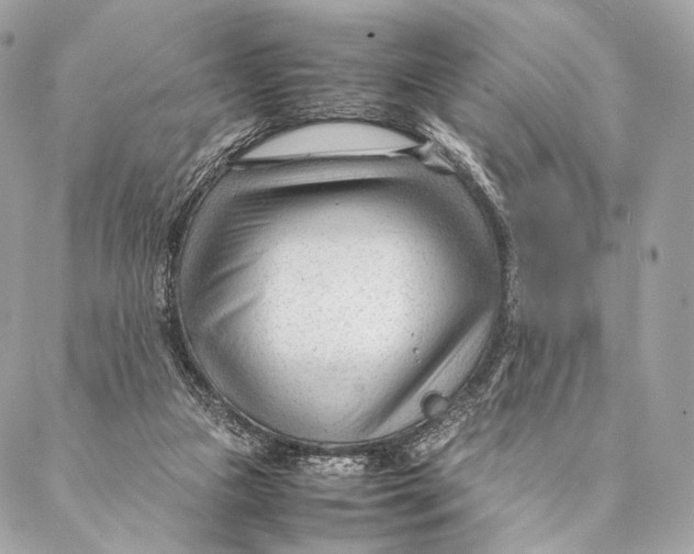 X0000087390161200705111809