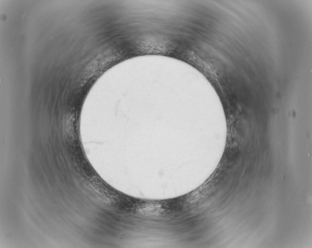 X0000087390162200705111809