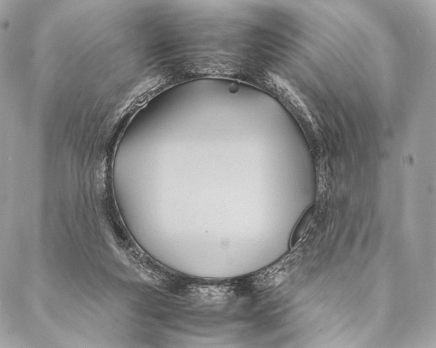 X0000087390163200705111809