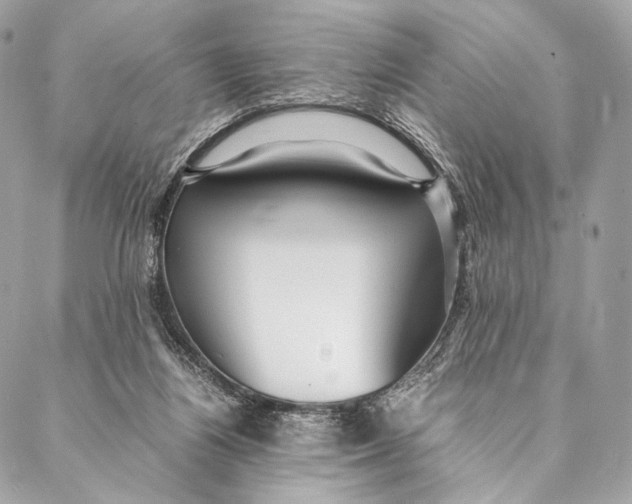 X0000087390164200705111809