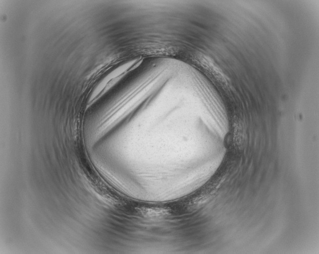 X0000087390165200705111809