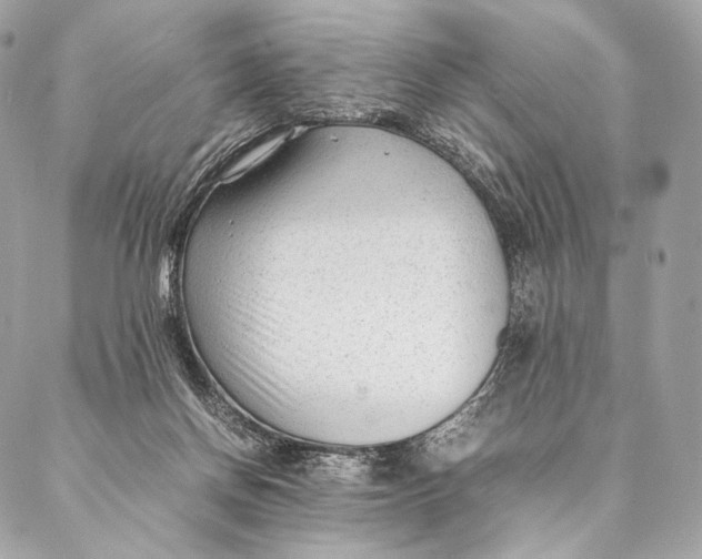 X0000087390166200705111809