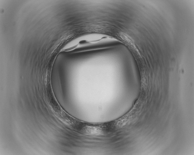 X0000087390167200705111809