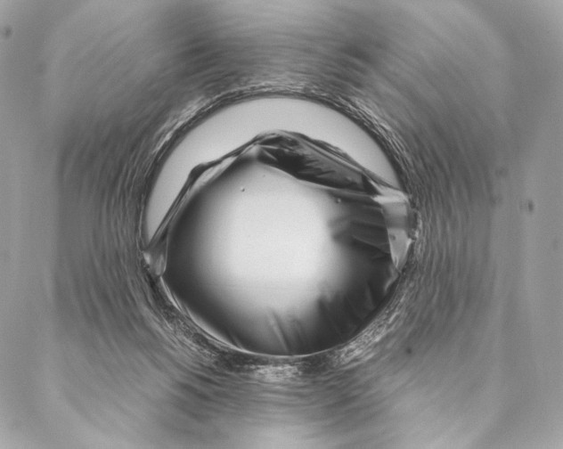 X0000087390168200705111809