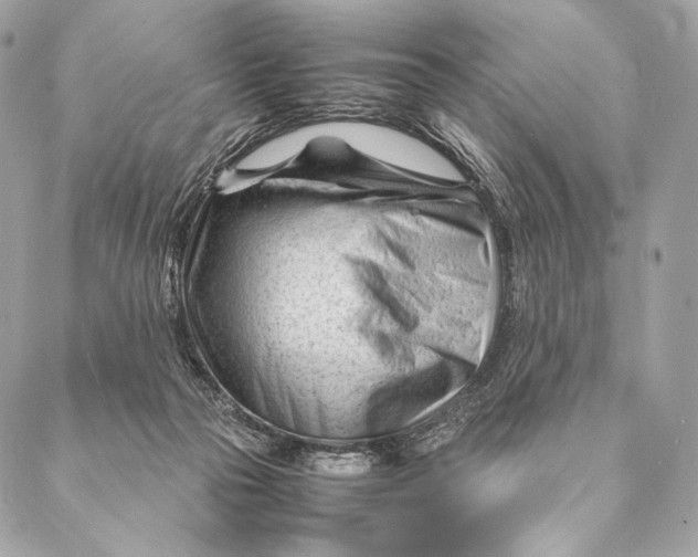 X0000087390169200705111809