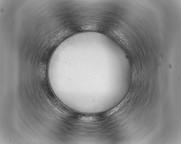 X0000087390171200705111809