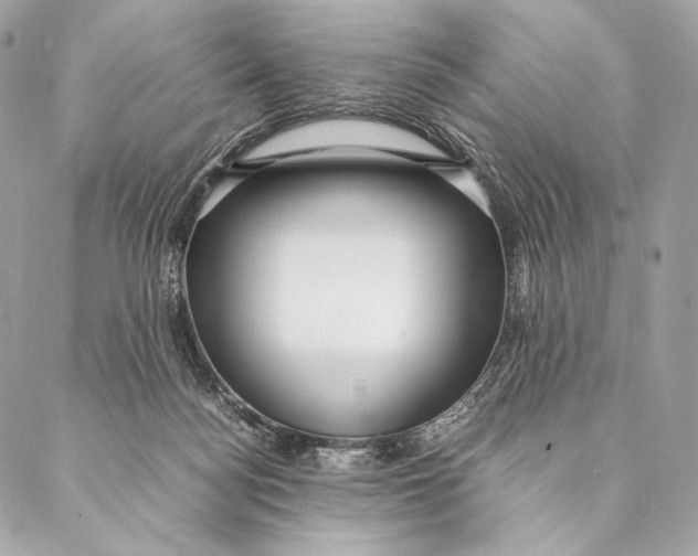 X0000087390172200705111809