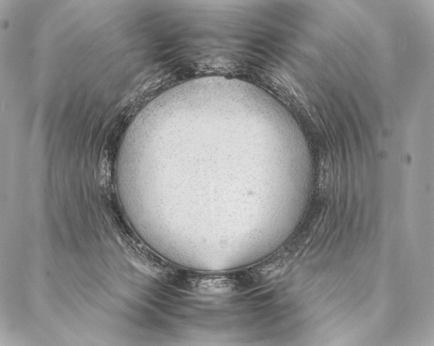 X0000087390173200705111810