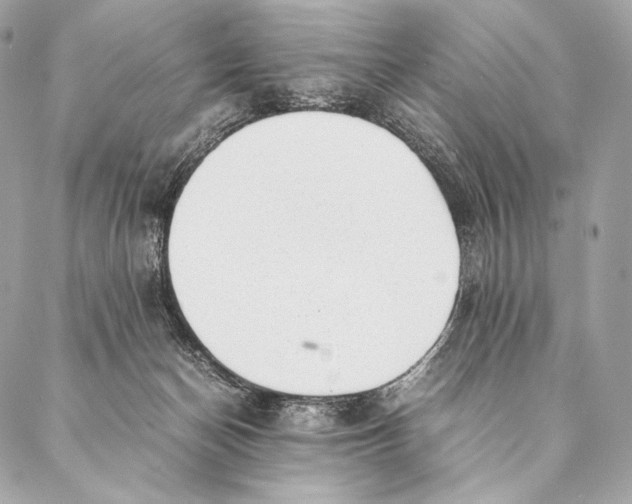 X0000087390174200705111810