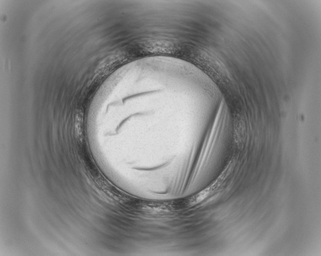 X0000087390175200705111810