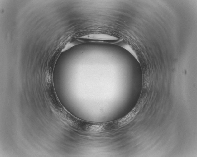 X0000087390176200705111810