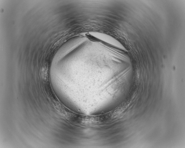 X0000087390177200705111810