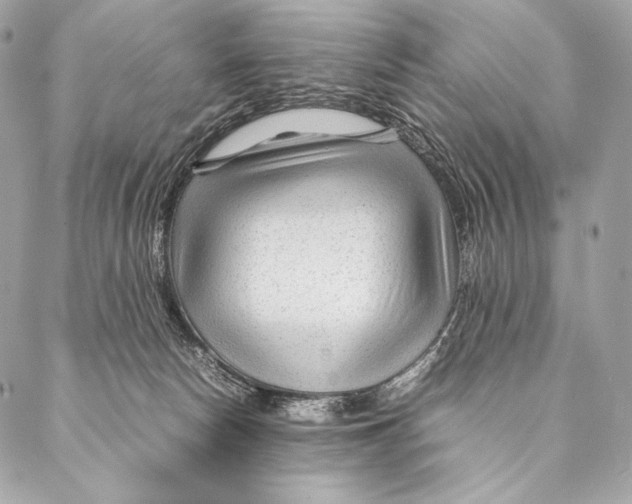 X0000087390178200705111810