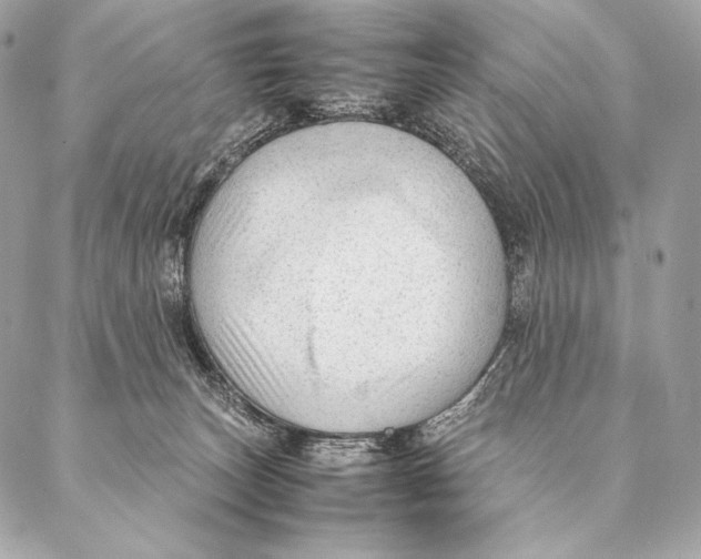 X0000087390179200705111810