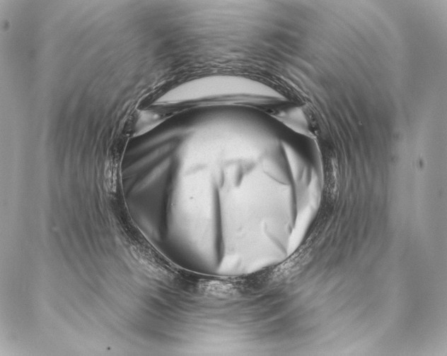 X0000087390180200705111810