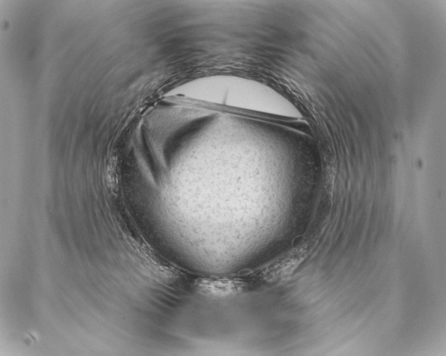 X0000087390181200705111810