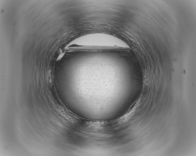 X0000087390182200705111810