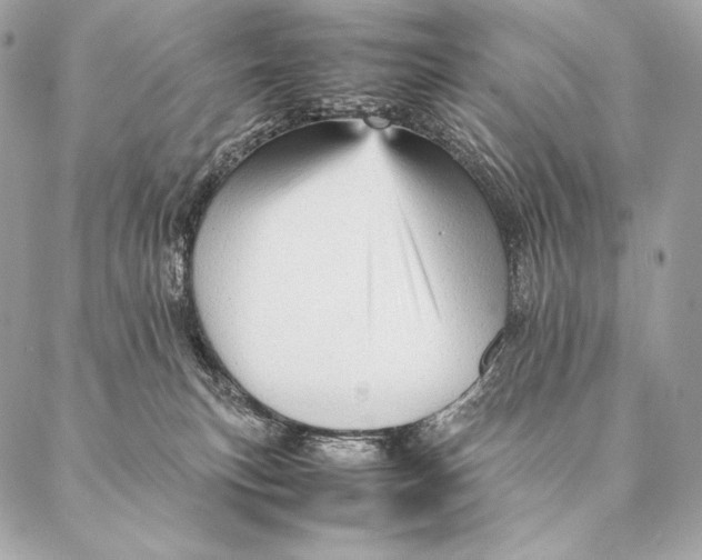 X0000087390183200705111810