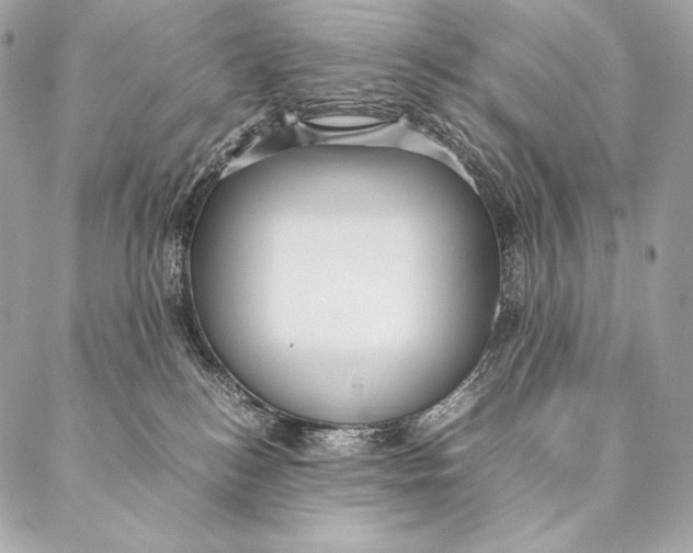 X0000087390184200705111810