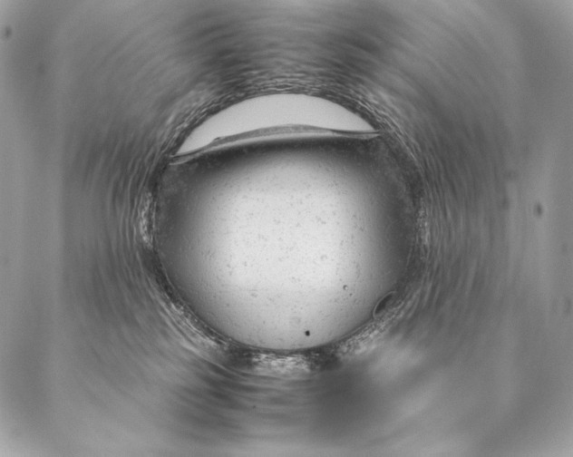 X0000087390185200705111810