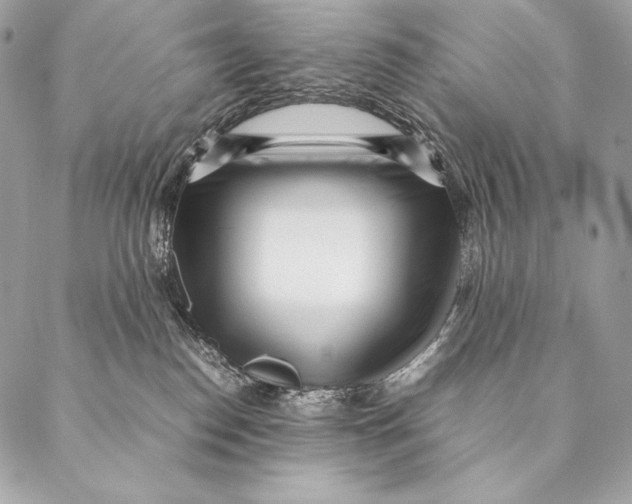 X0000087390186200705111810