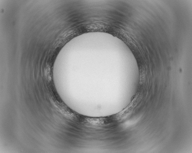 X0000087390187200705111810