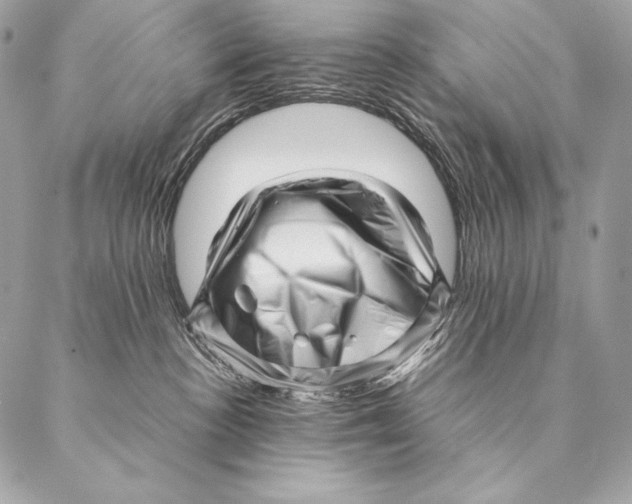 X0000087390188200705111810