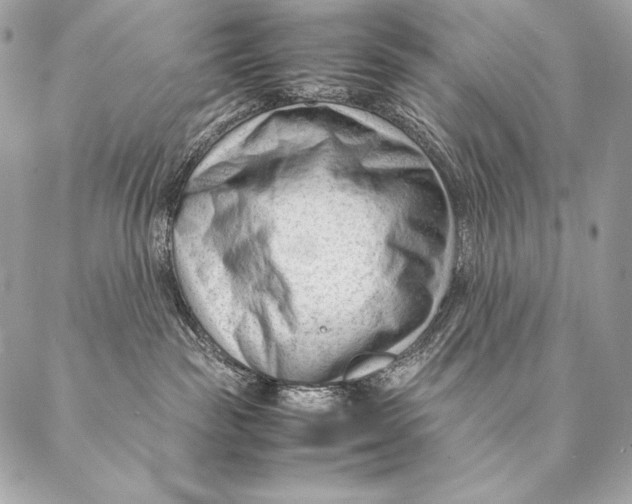 X0000087390189200705111810