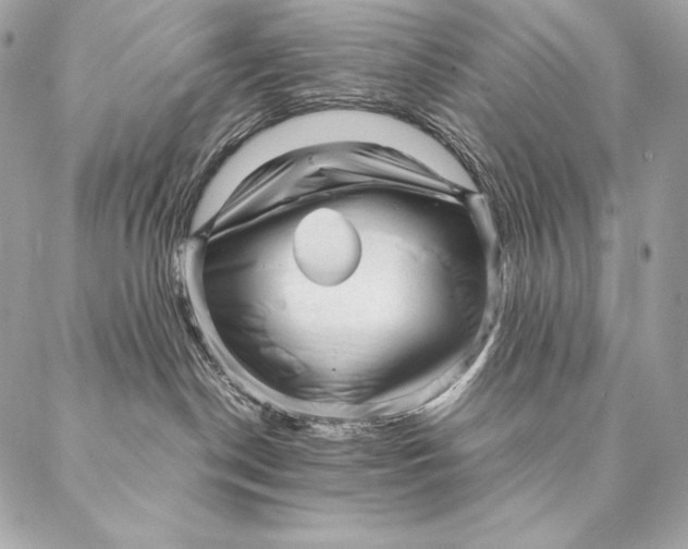 X0000087390190200705111810