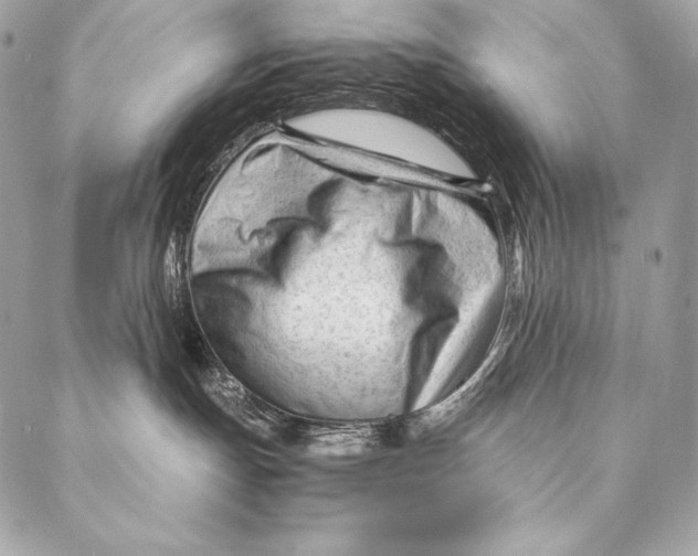 X0000087390191200705111810