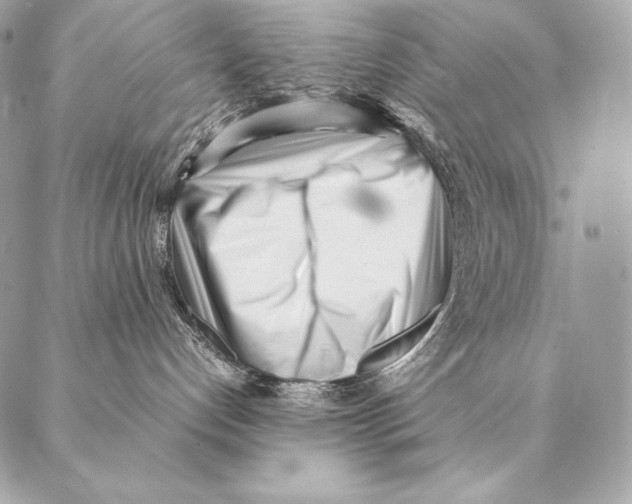 X0000087390192200705111810