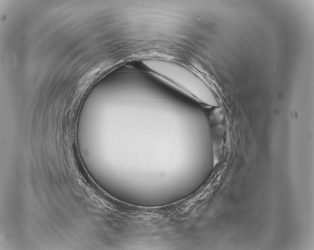 X0000087390193200705111809